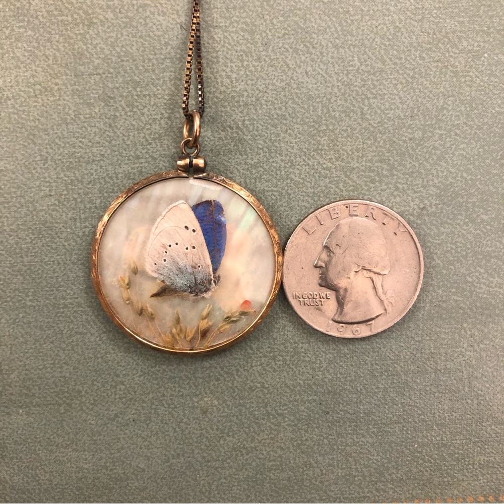 Antique moth butterfly taxidermy necklace.  Real moth - Picture 5 of 6